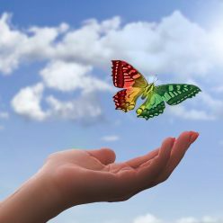 Na zdjęciu widoczna jest wyciągnięta dłoń na tle nieba, sięgająca w kierunku różnobarwnego motyla - Zespół Downa, Stowarzyszenie Szansa