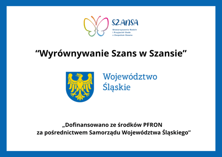 ŚLĄSKIE DLA NIEP VI