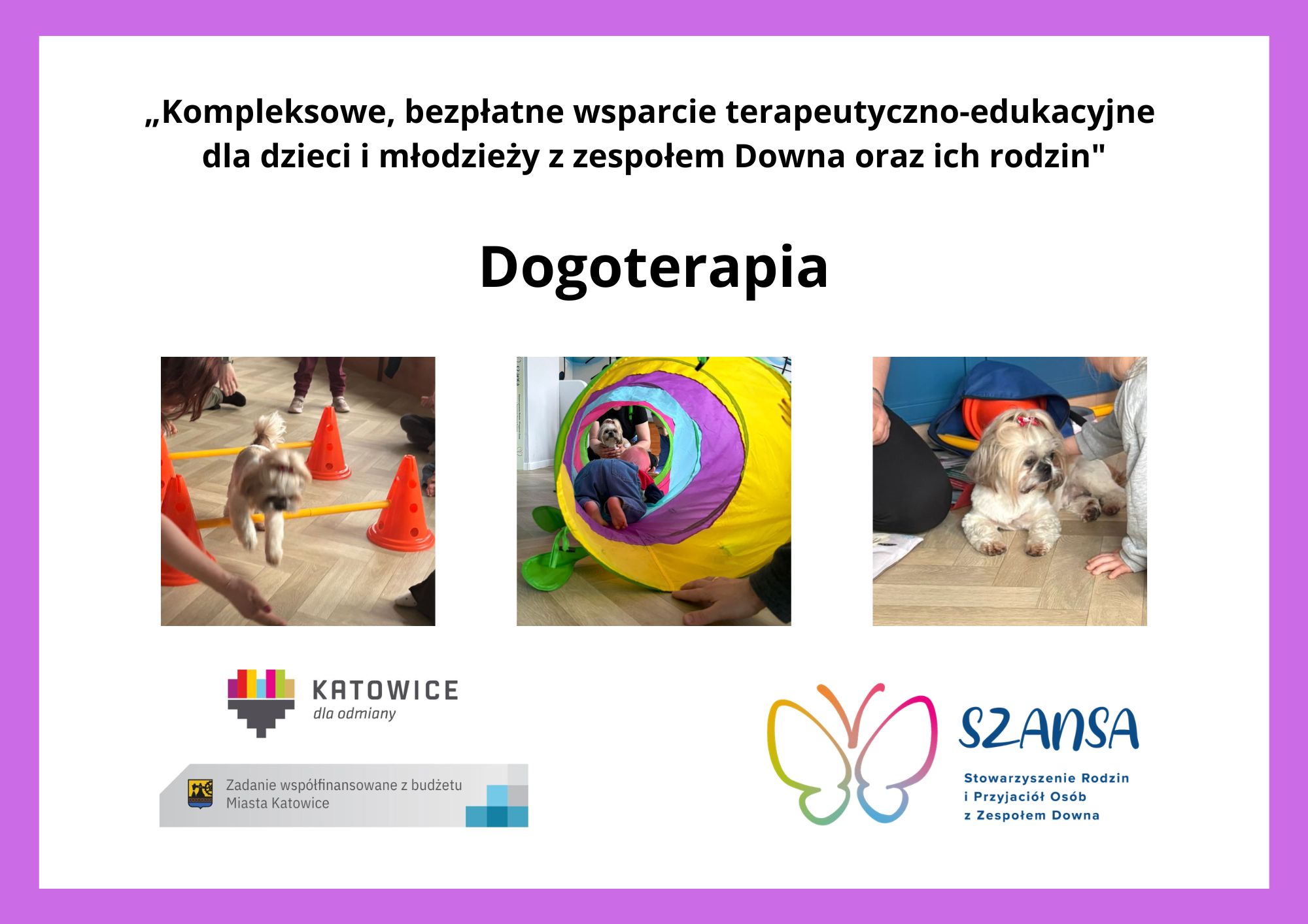 DOGOTERAPIA